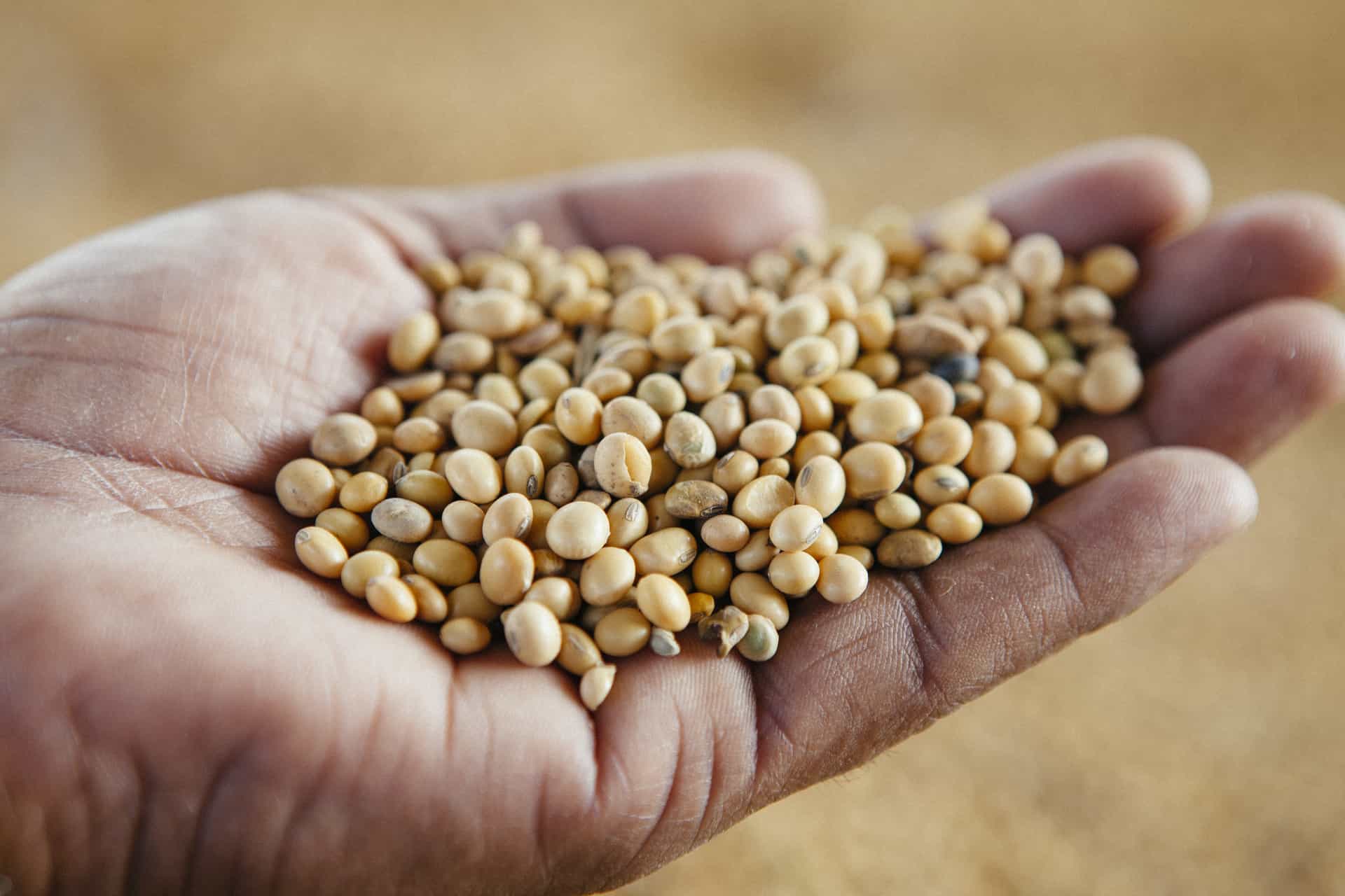 Fortifying Our Food to Fight Climate Change