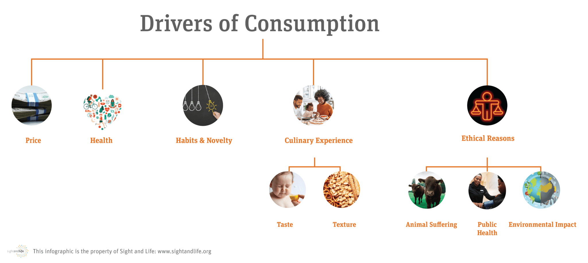 Podcast Episode #2: Plant-based meats – Unpacking Consumer Insights