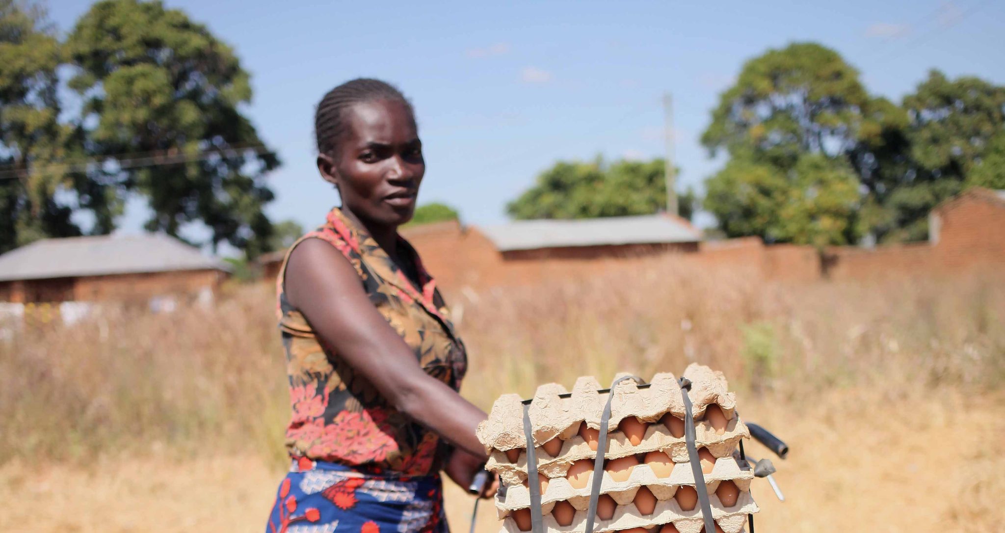 Egg Hub Malawi Sight and Life