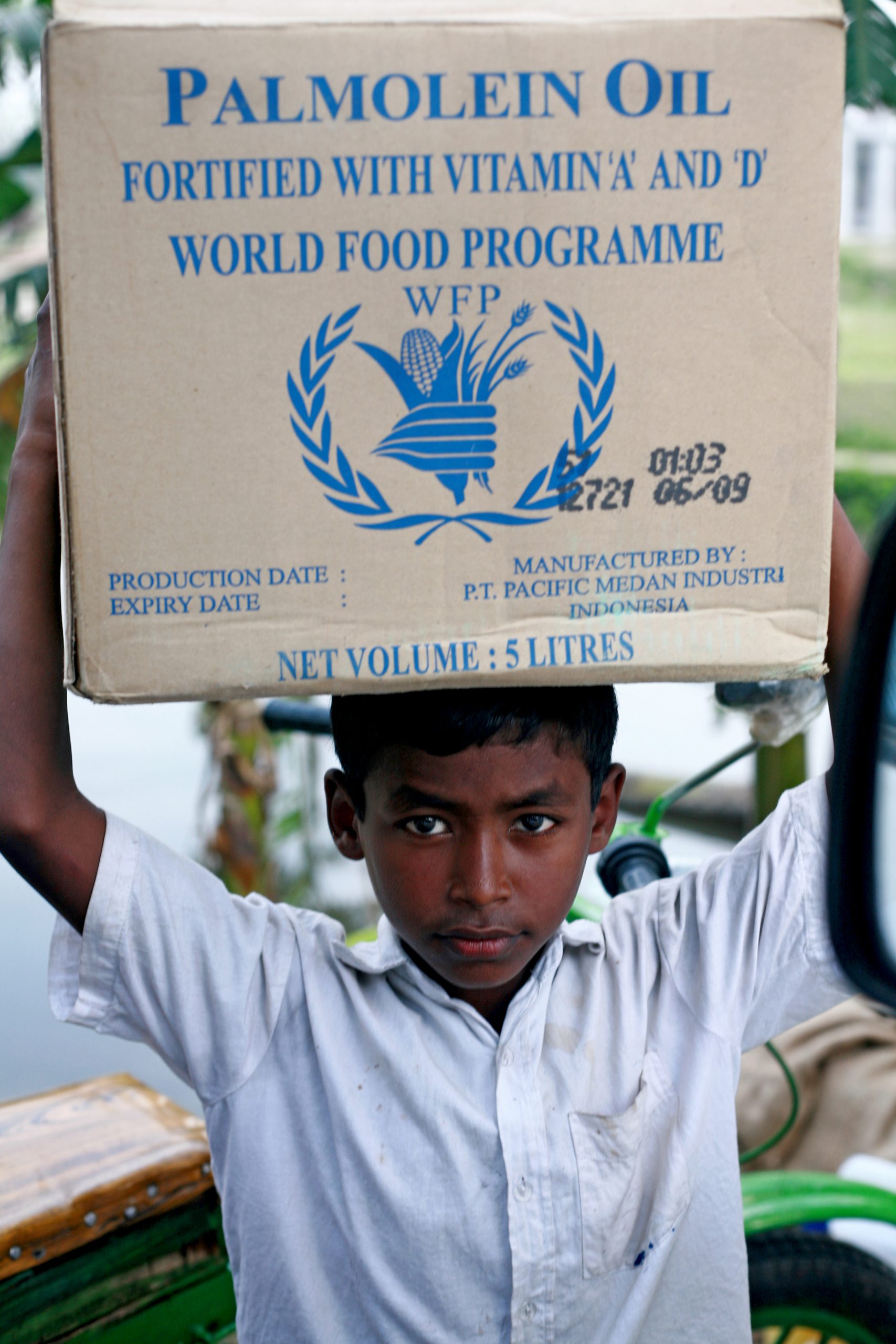 Our Impact- Sight and Life